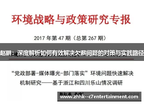 赵鹏：深度解析如何有效解决欠薪问题的对策与实践路径