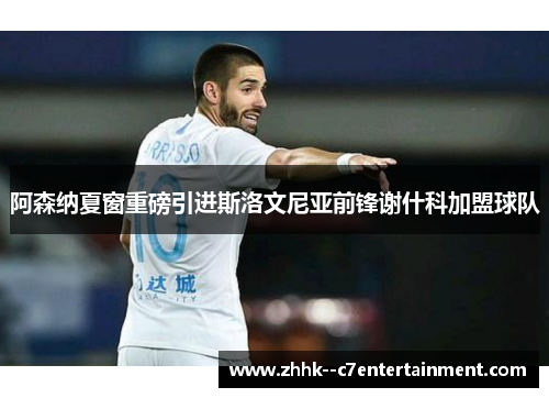 阿森纳夏窗重磅引进斯洛文尼亚前锋谢什科加盟球队