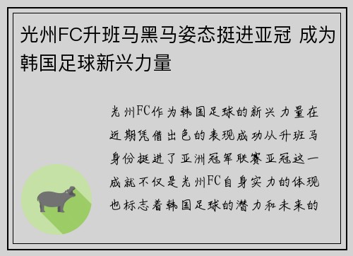 光州FC升班马黑马姿态挺进亚冠 成为韩国足球新兴力量 光州FC升班马黑马姿态挺进亚冠 成为韩国足球新兴力量